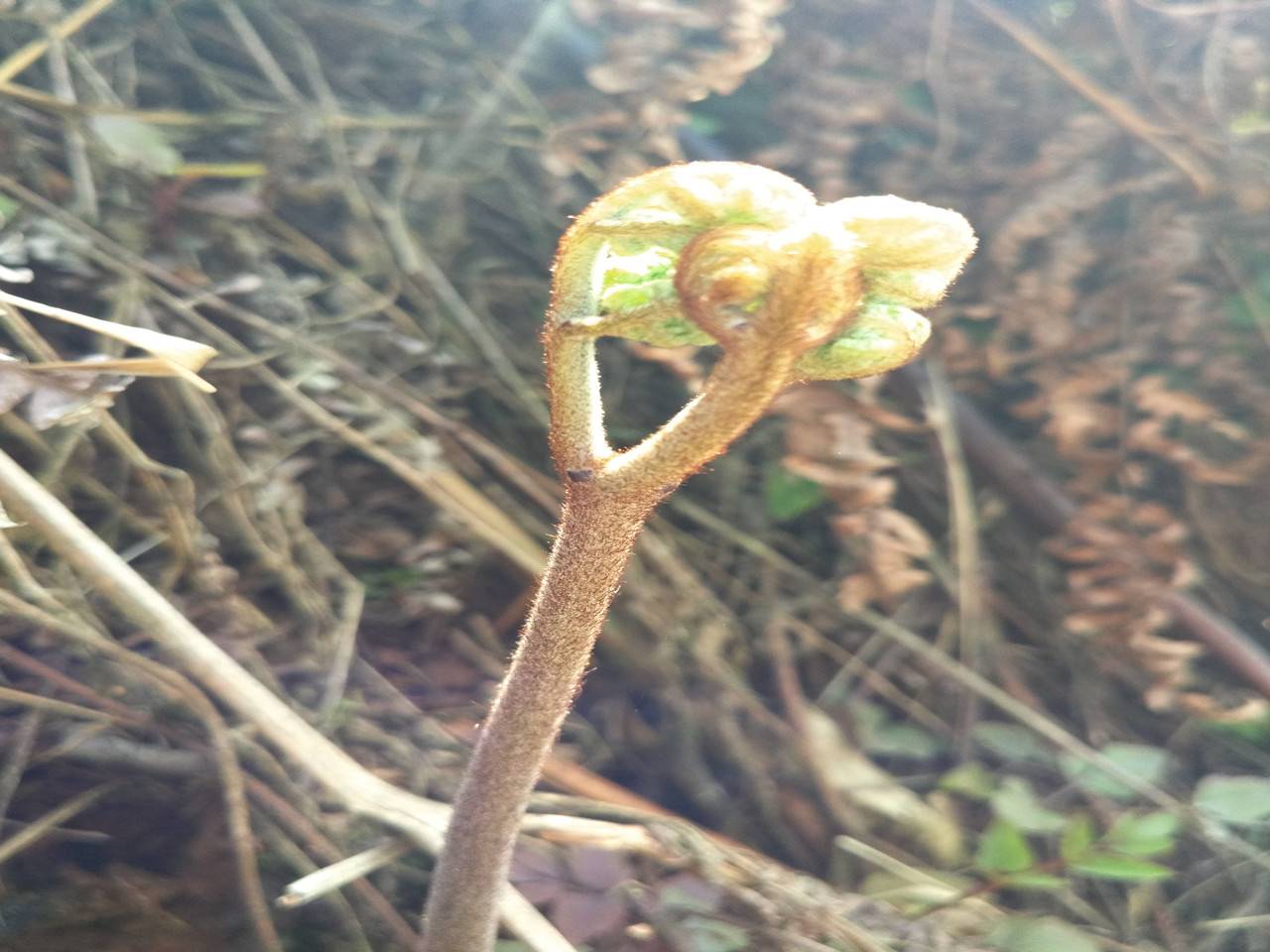 侯家山寨高山居农家乐