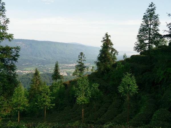 侯家山寨高山居农家乐